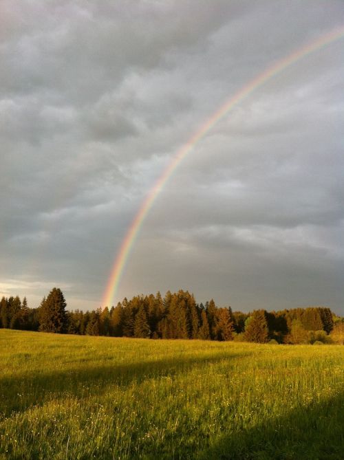 rainbow nature mood