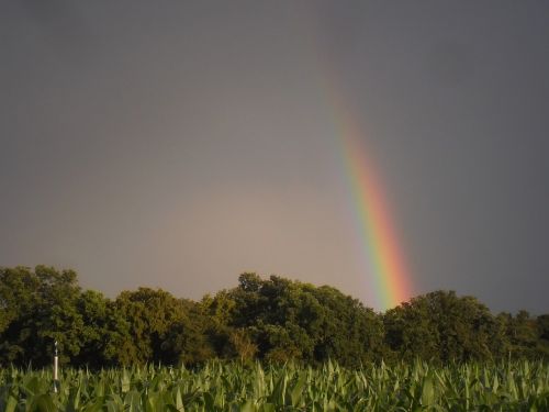 rainbow colors sky