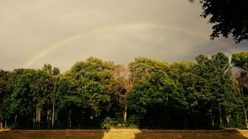 rainbow summer nature