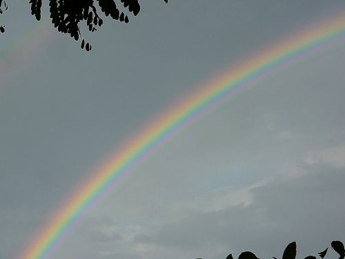 rainbow color arch