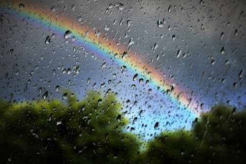 rainbow rain nature