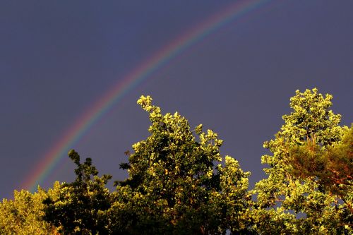 rainbow sky mood