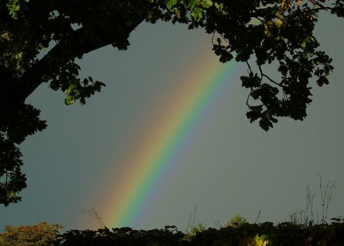 rainbow rain color