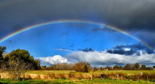 rainbow field landscape