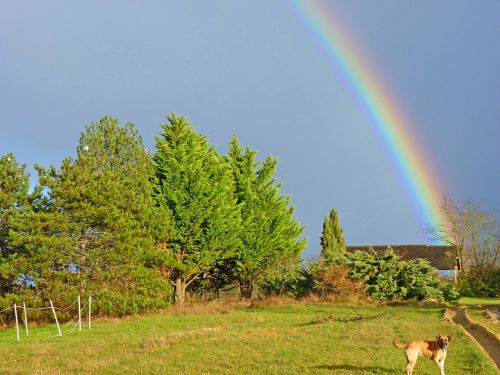 rainbow sky nature