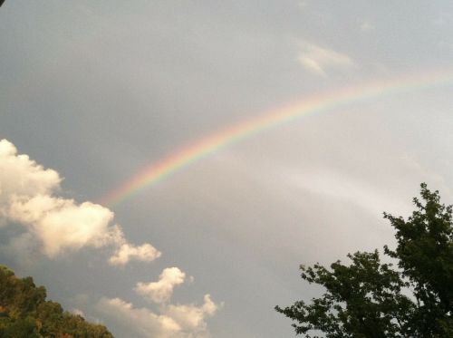 rainbow the sky sky