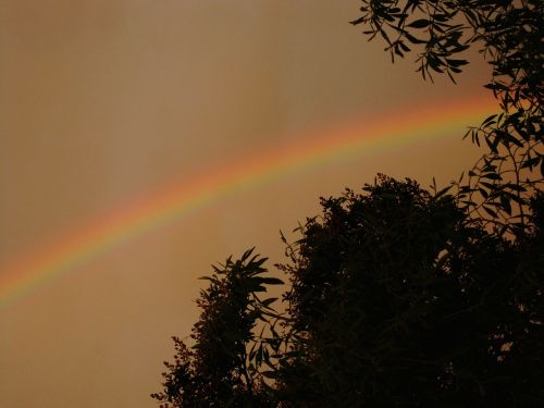 rainbow arc colors