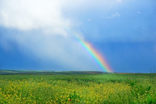 rainbow green field blue sky