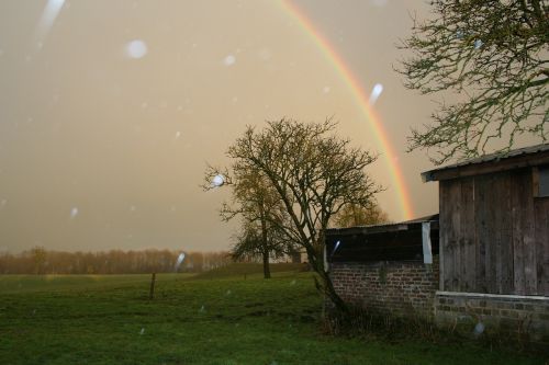 rainbow rain nature