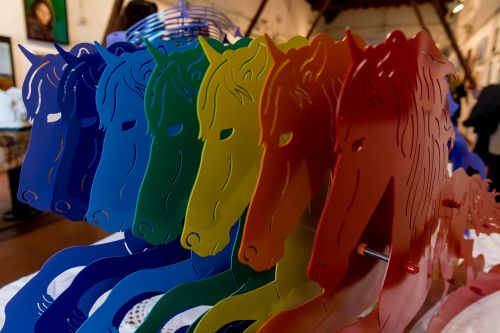 rainbow horse horses