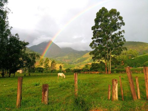 rainbow horse mountain