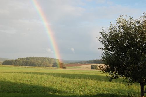 rainbow meadow light