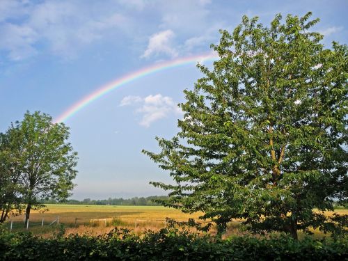 rainbow landscape summer