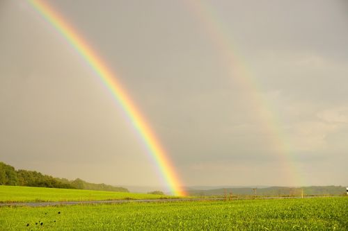 rainbow double rainbow natural spectacle