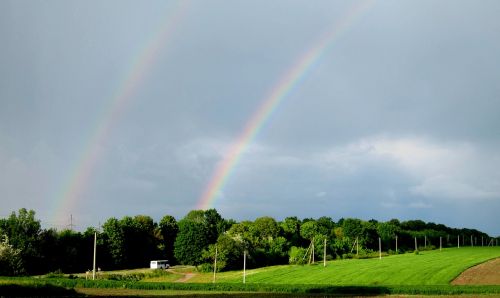 rainbow nature field