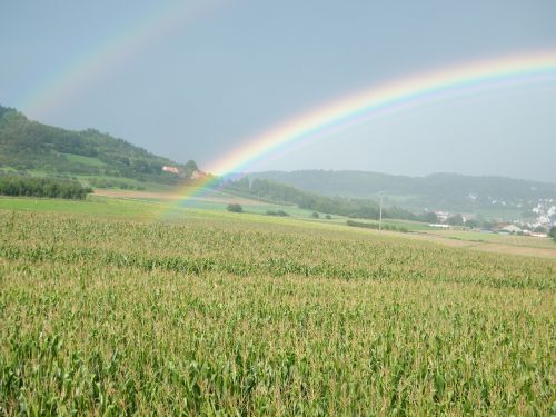 rainbow cornfield hill