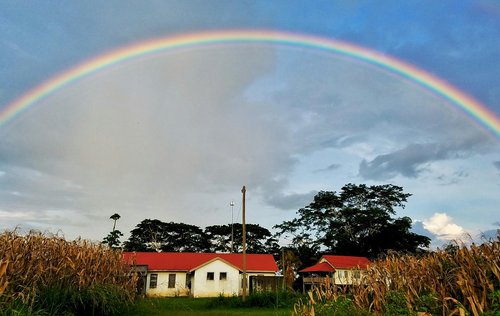 rainbow  sky  agriculture