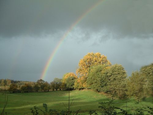 rainbow mood autumn