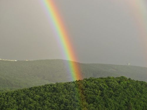 rainbow sky wood