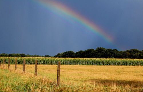 rainbow autumn natural spectacle