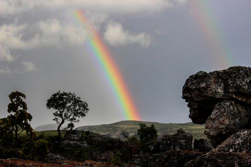 rainbow nature africa