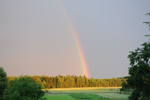 rainbow forest sky