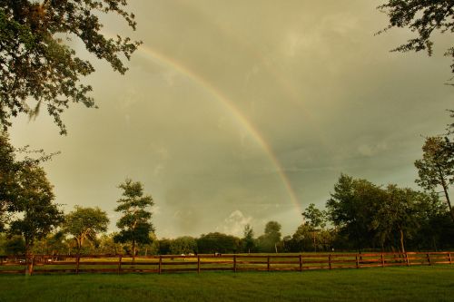 rainbow farm pasture