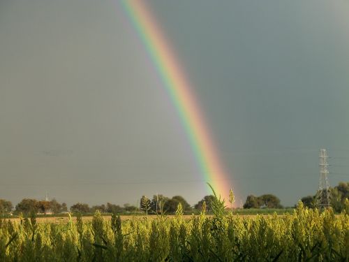 field cloudy rainbow