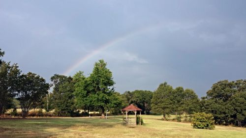 rainbow gazebo over trees