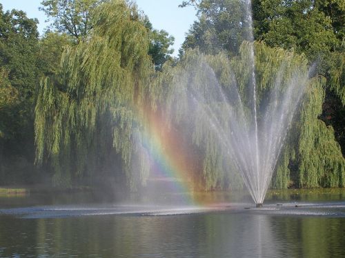 rainbow water pond