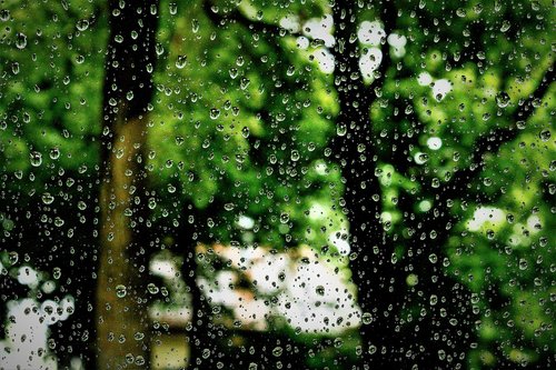 raindrop  rain  water