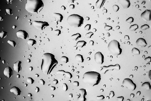 raindrop  drip  rain