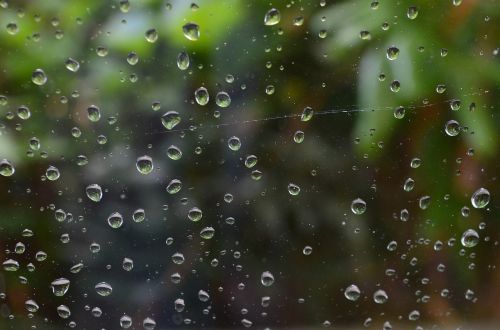raindrop drip drop of water