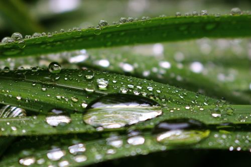 raindrops transparency green