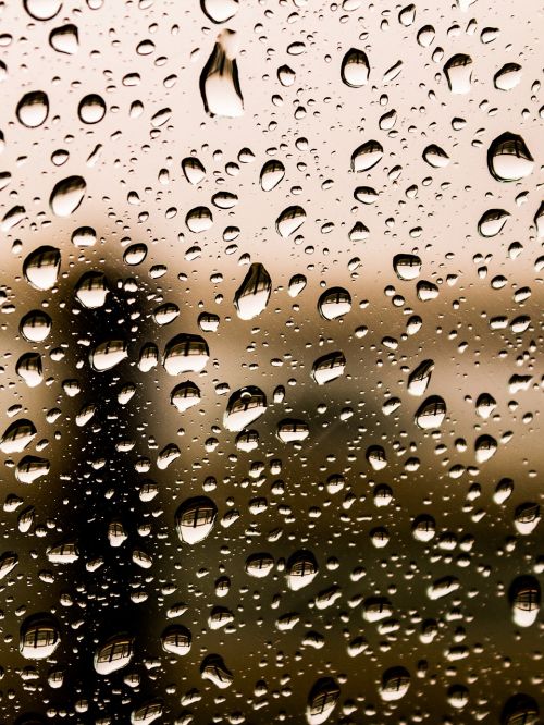 raindrops drops water