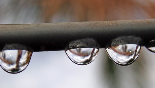 raindrops  water  refraction