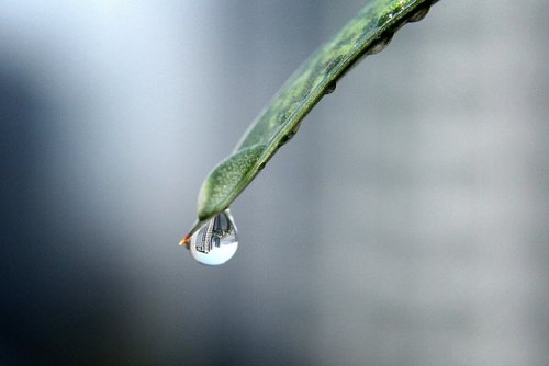 raindrops  the water droplets  water droplets sound