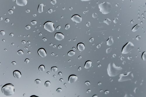 raindrops wet drops