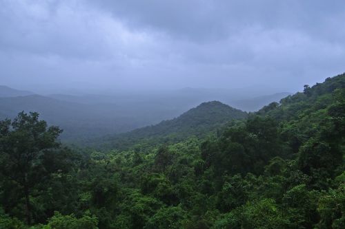 rainforest western ghats mollem national park