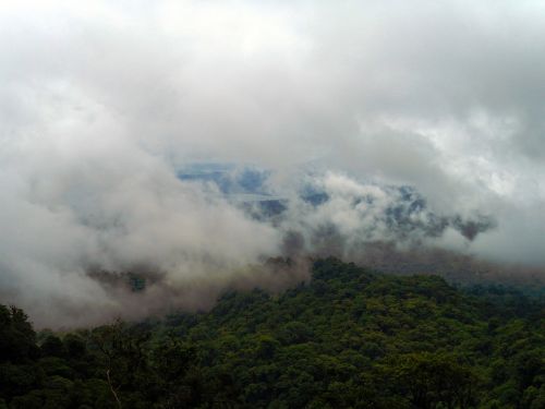 rainforest clouds tropical