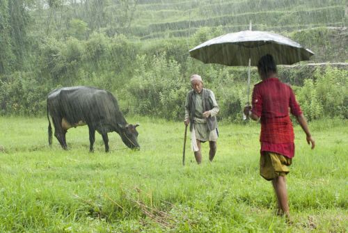 raining girl father