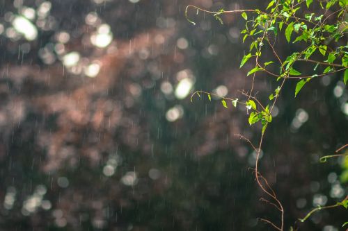 raining photo blur