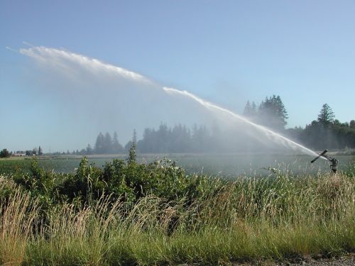 rainmaker sprinkler farming