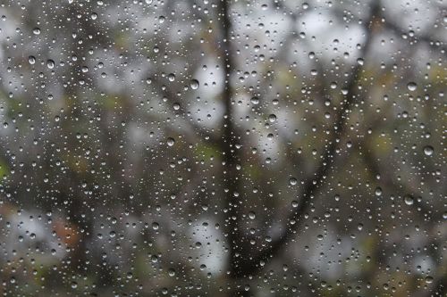 rainy day raindrop drip