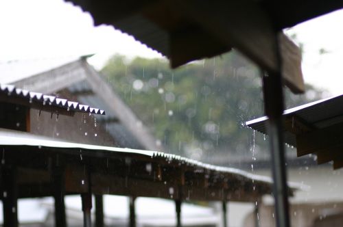 rainy day summer rainy