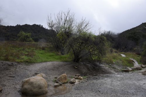 Rainy Day Outdoors