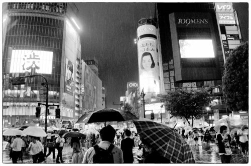 Rainy Shibuya