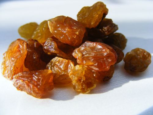 raisins dried golden