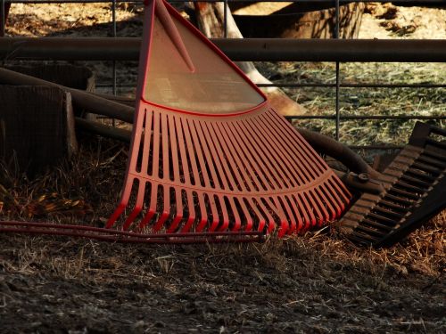 rake garden garden tools