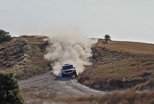 rally  cars  car